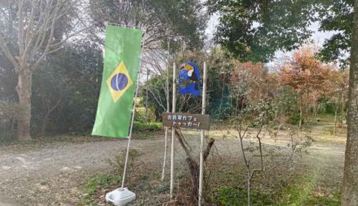 成田　ブラジル料理　トゥッカーノ